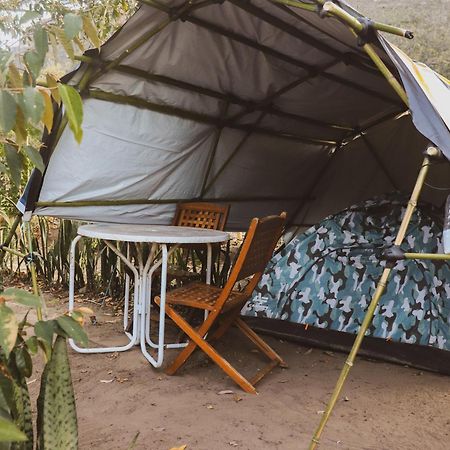 Camping Filhos Da Floresta - 韦尔卡鲍 外观 照片