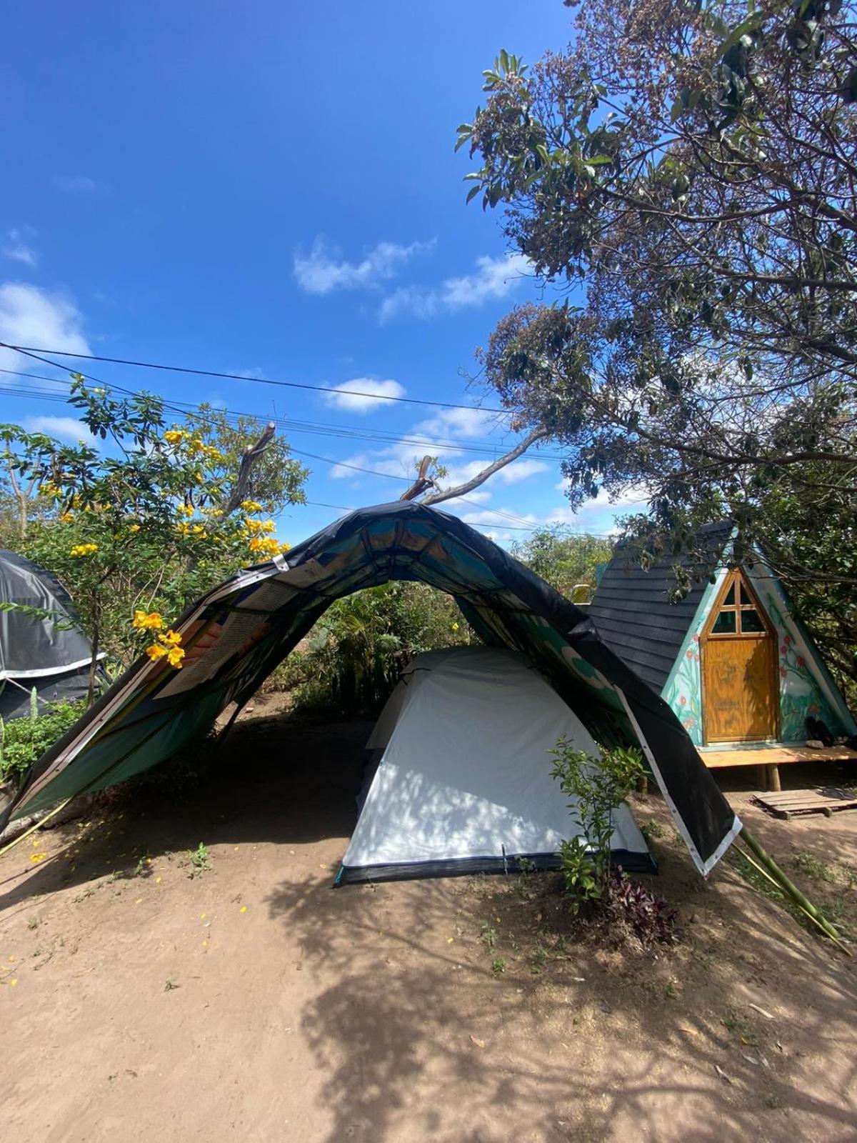 Camping Filhos Da Floresta - 韦尔卡鲍 外观 照片
