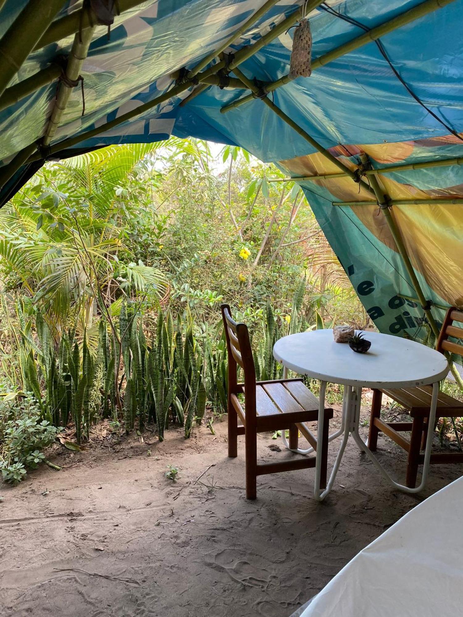 Camping Filhos Da Floresta - 韦尔卡鲍 外观 照片