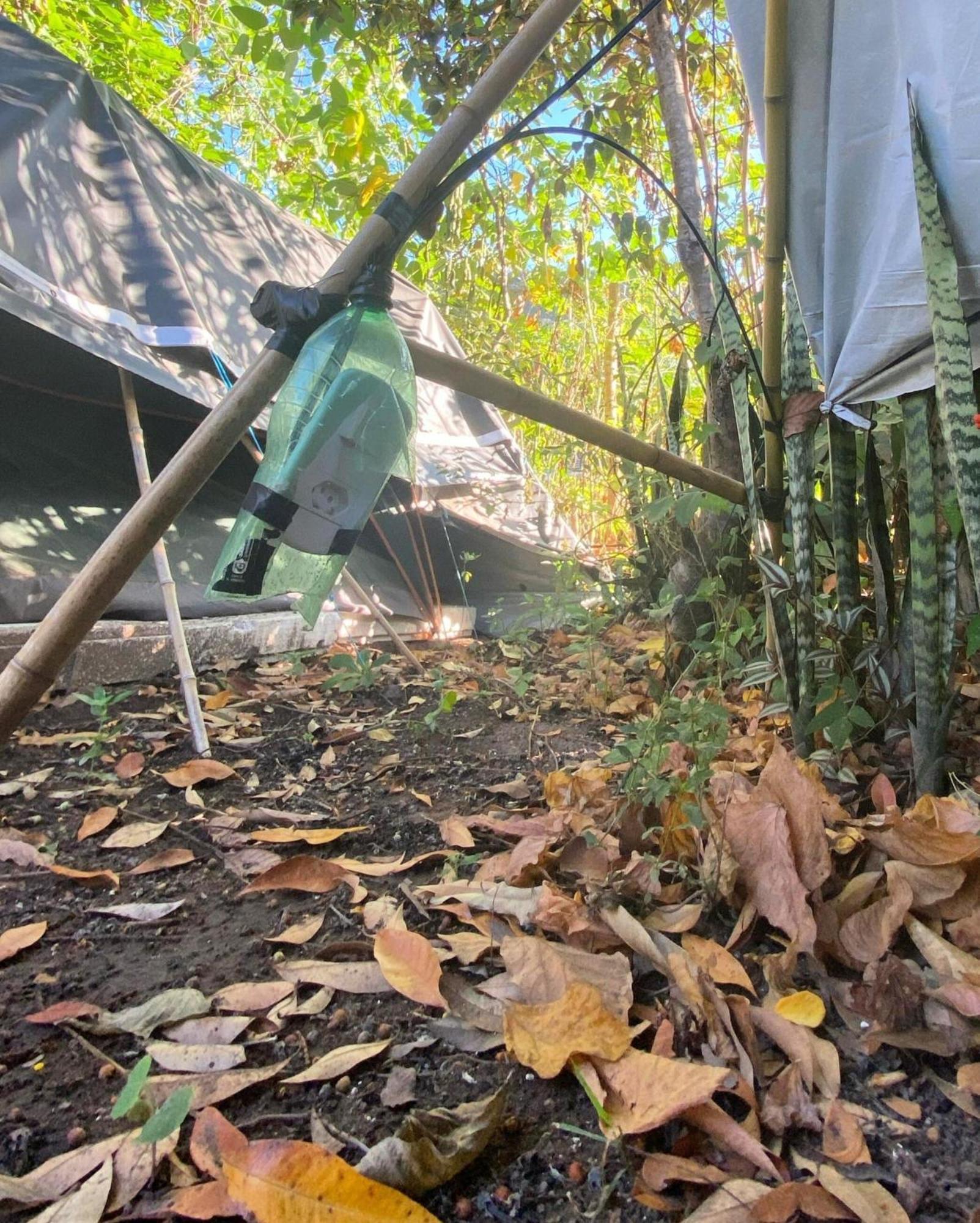 Camping Filhos Da Floresta - 韦尔卡鲍 外观 照片
