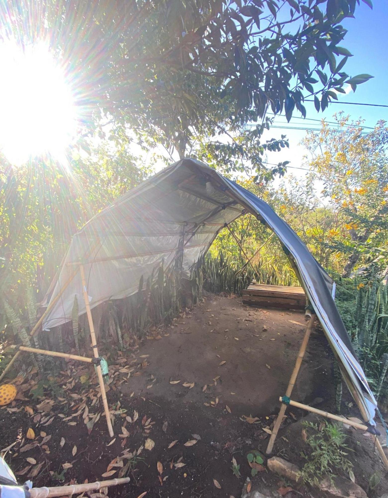 Camping Filhos Da Floresta - 韦尔卡鲍 外观 照片